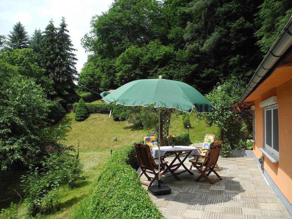 Ferienhaus Am Urzeitpark Sebnitz Hertigswalde Exterior photo